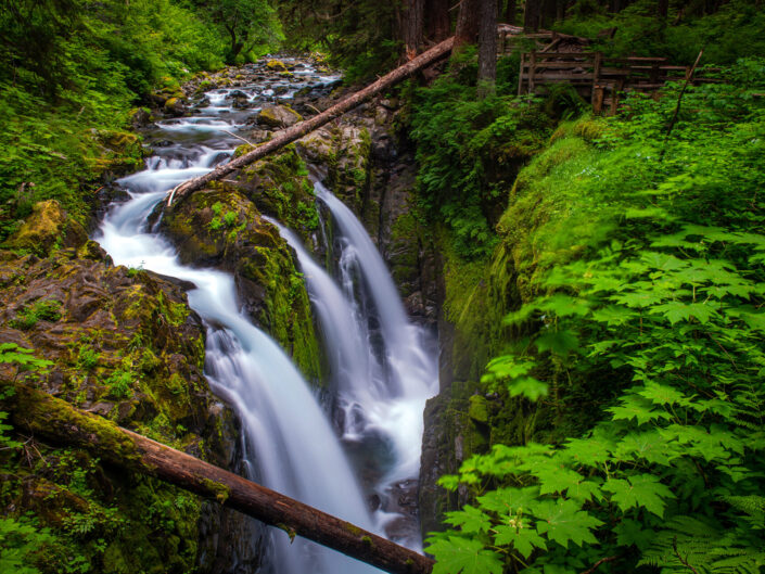 Sol Duc Falls, a picturesque waterfall surrounded by lush greenery.