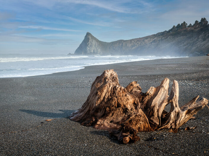 Driftwood on the beach, a natural sculpture shaped by waves and time.
